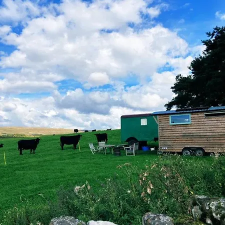 Renison's Farm